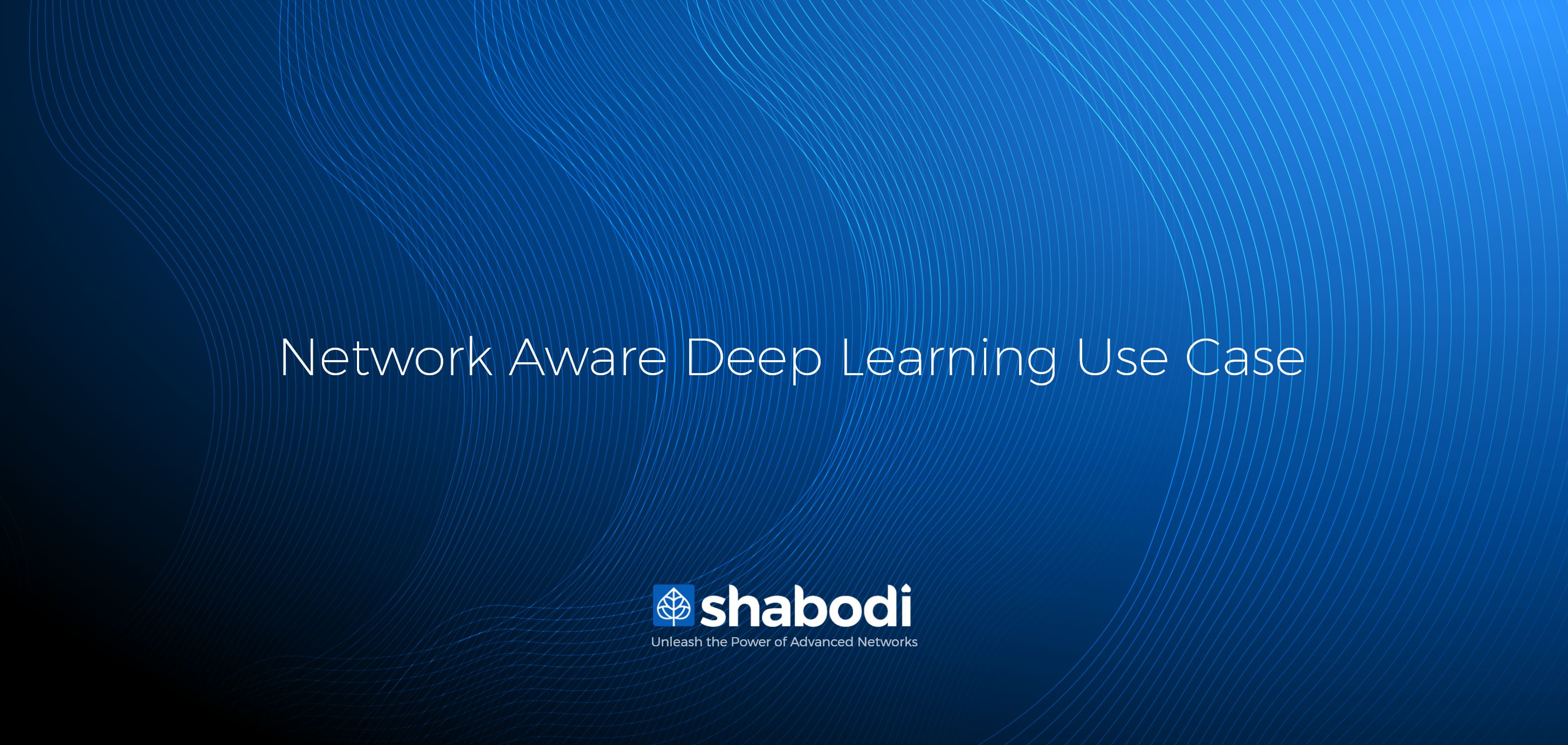 Network Aware Deep Learning Use Case